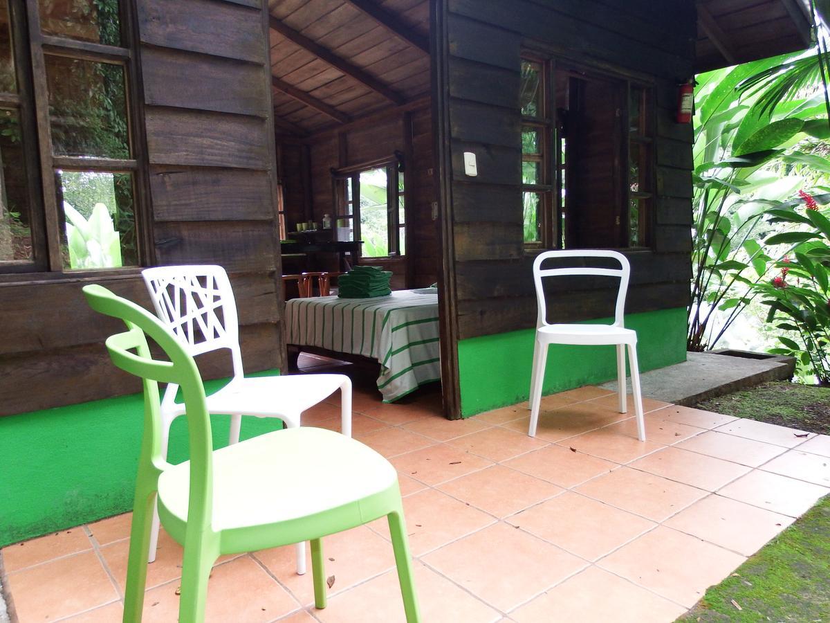 Selva Color - Forest & Beach Ecolodge Quebrada Ganado Exterior photo
