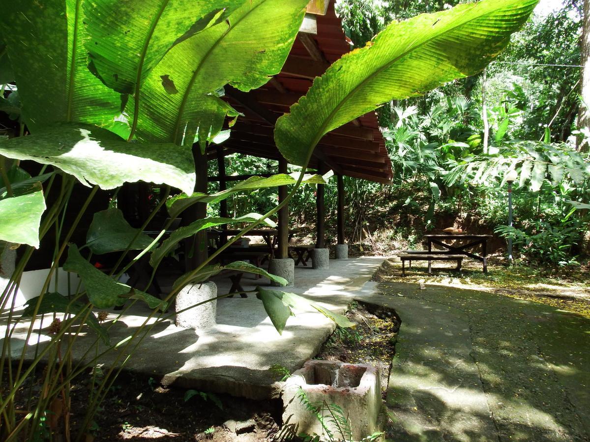 Selva Color - Forest & Beach Ecolodge Quebrada Ganado Exterior photo