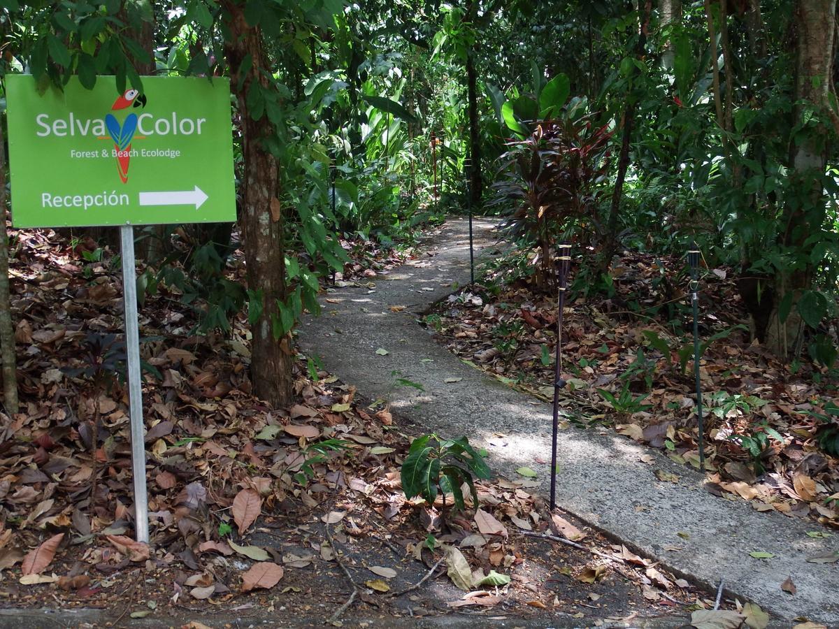 Selva Color - Forest & Beach Ecolodge Quebrada Ganado Exterior photo