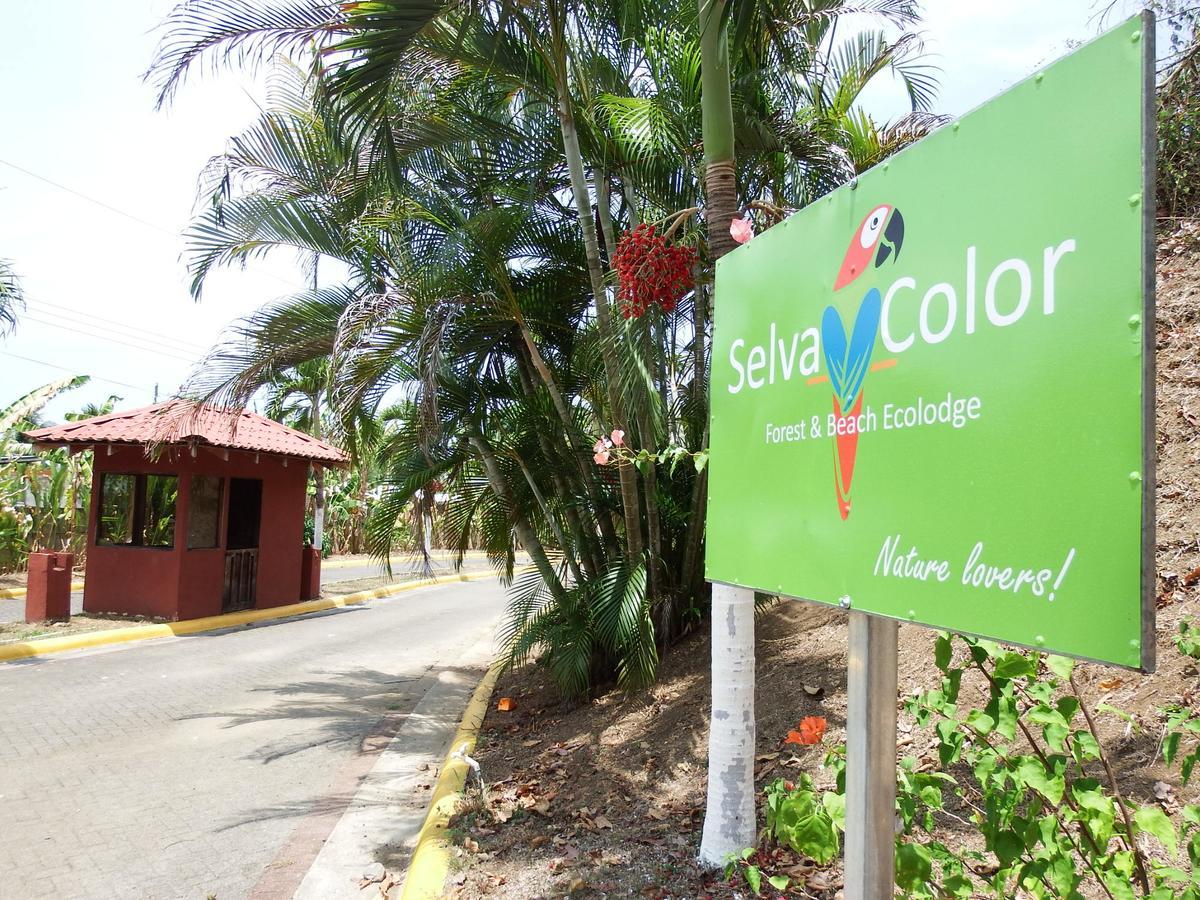 Selva Color - Forest & Beach Ecolodge Quebrada Ganado Exterior photo